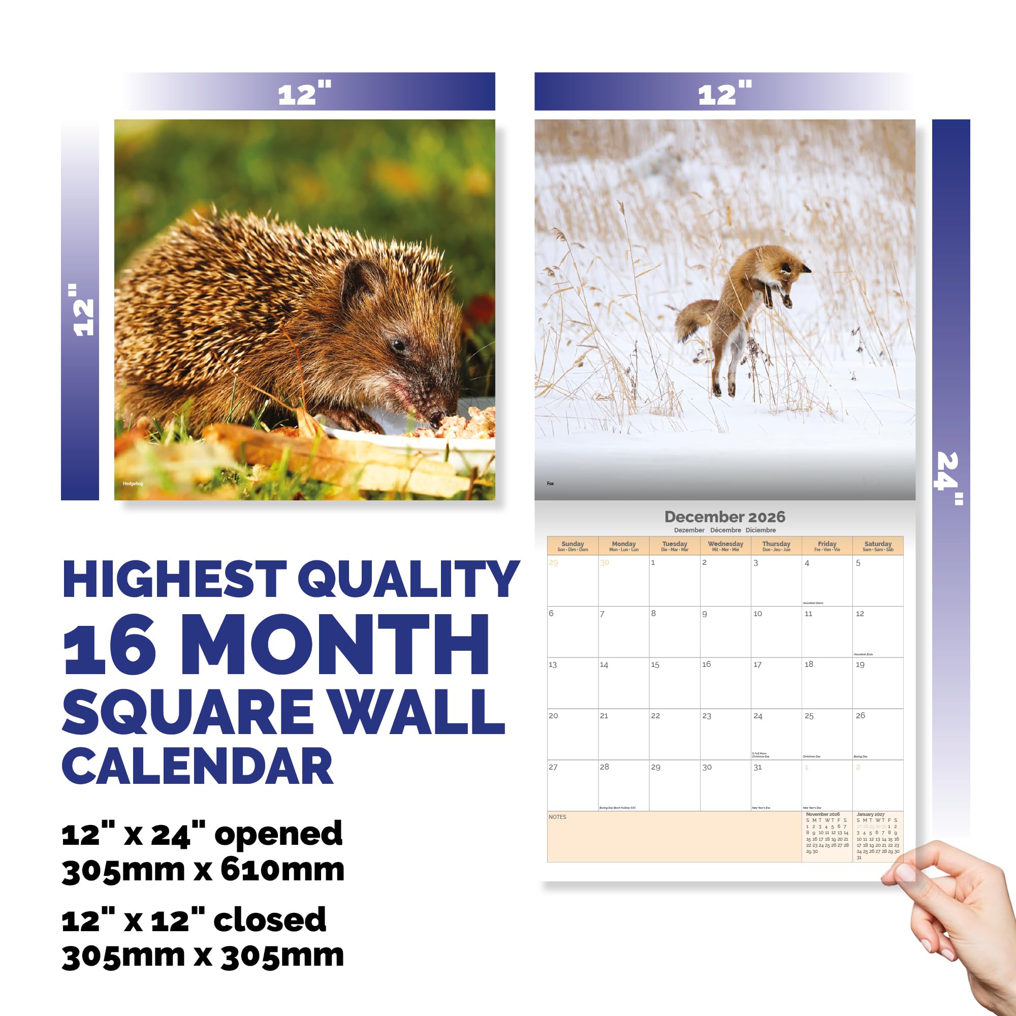 British Wildlife Calendar 2026