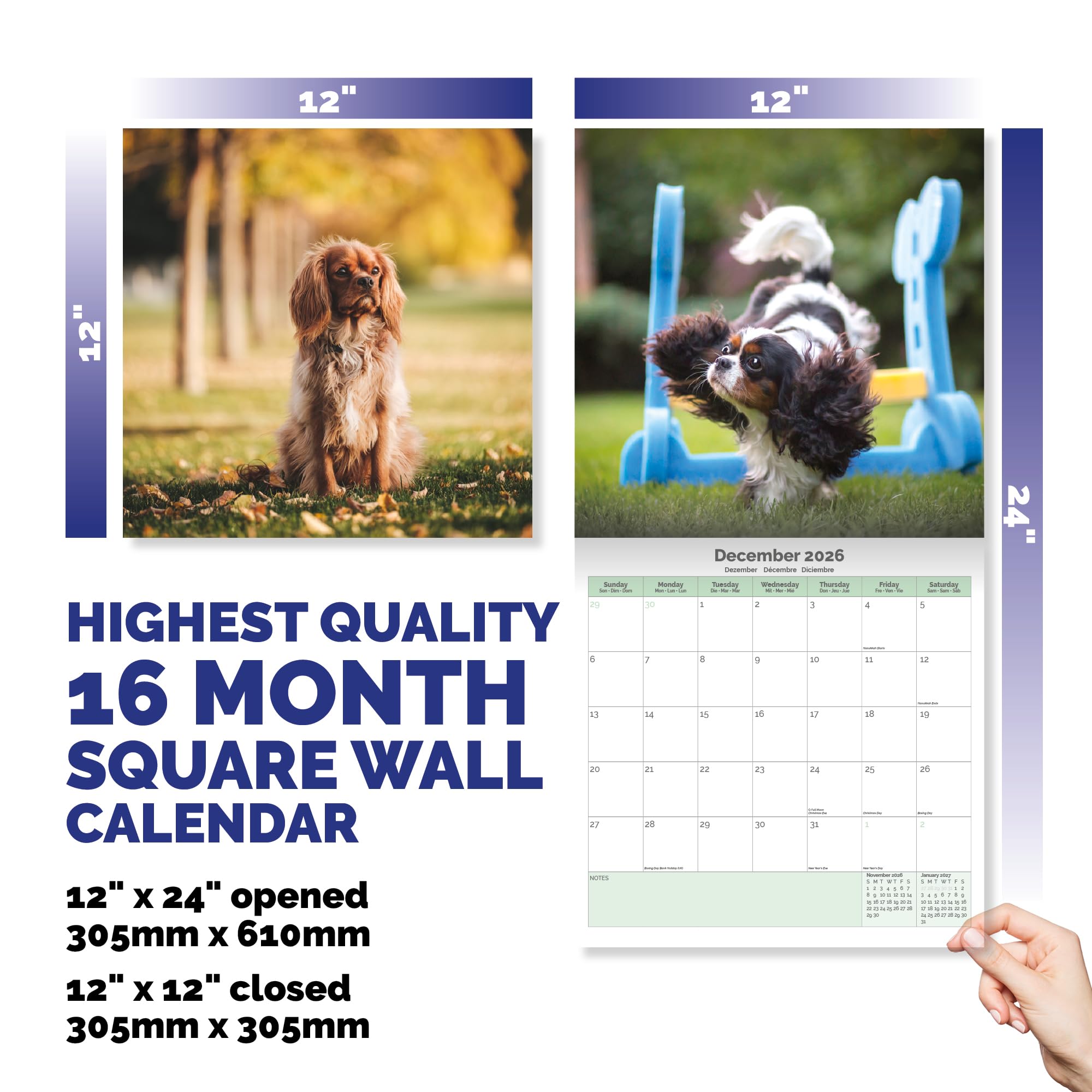 Cavalier King Charles Calendar 2026
