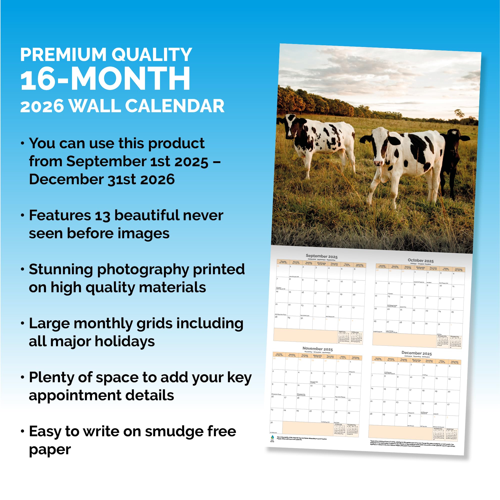 Cows Calendar 2026
