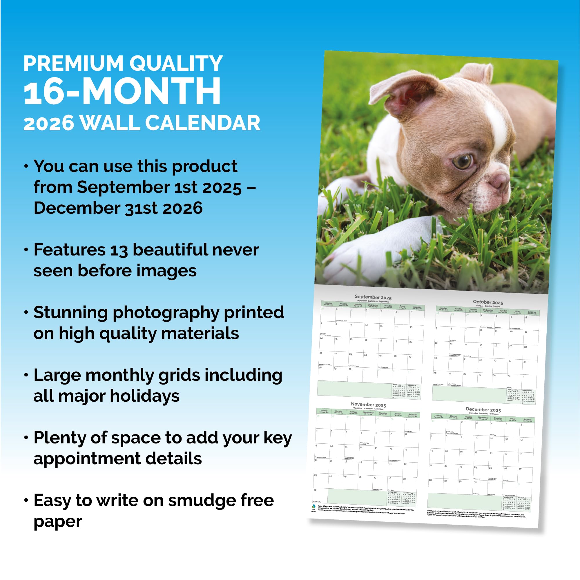 Boston Terrier Calendar 2026