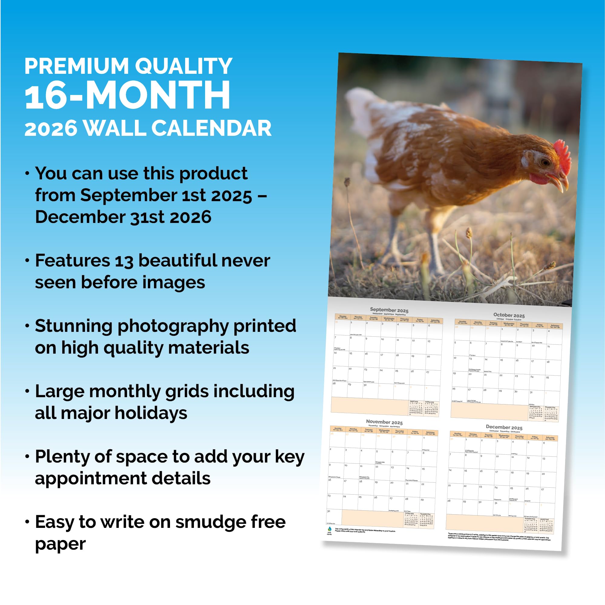 Chickens Calendar 2026