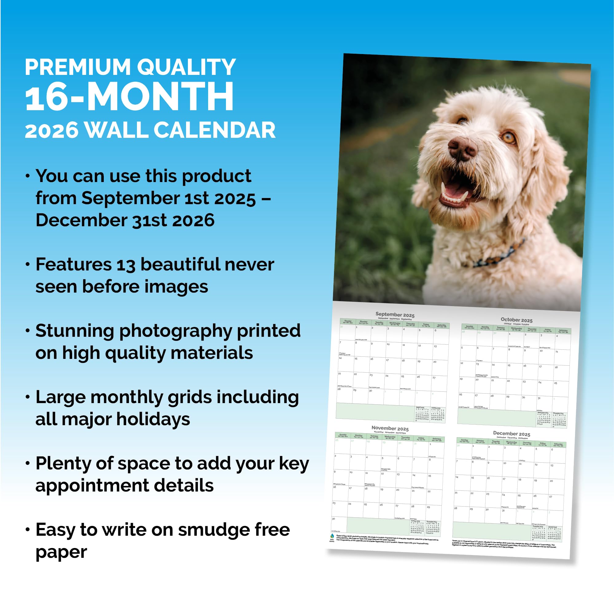 Labradoodle Calendar 2026