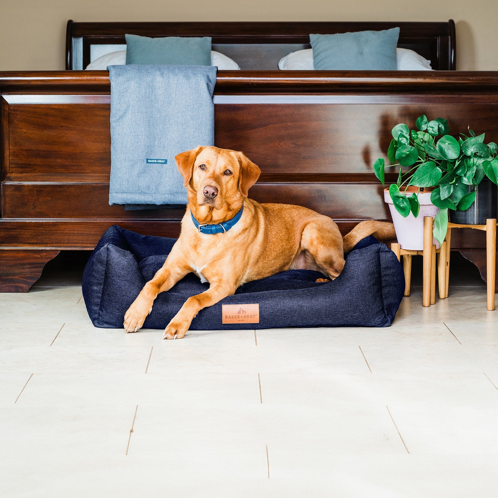 The Ultimate - Eco Friendly Orthopaedic Luxury Dog Bed, Navy Blue