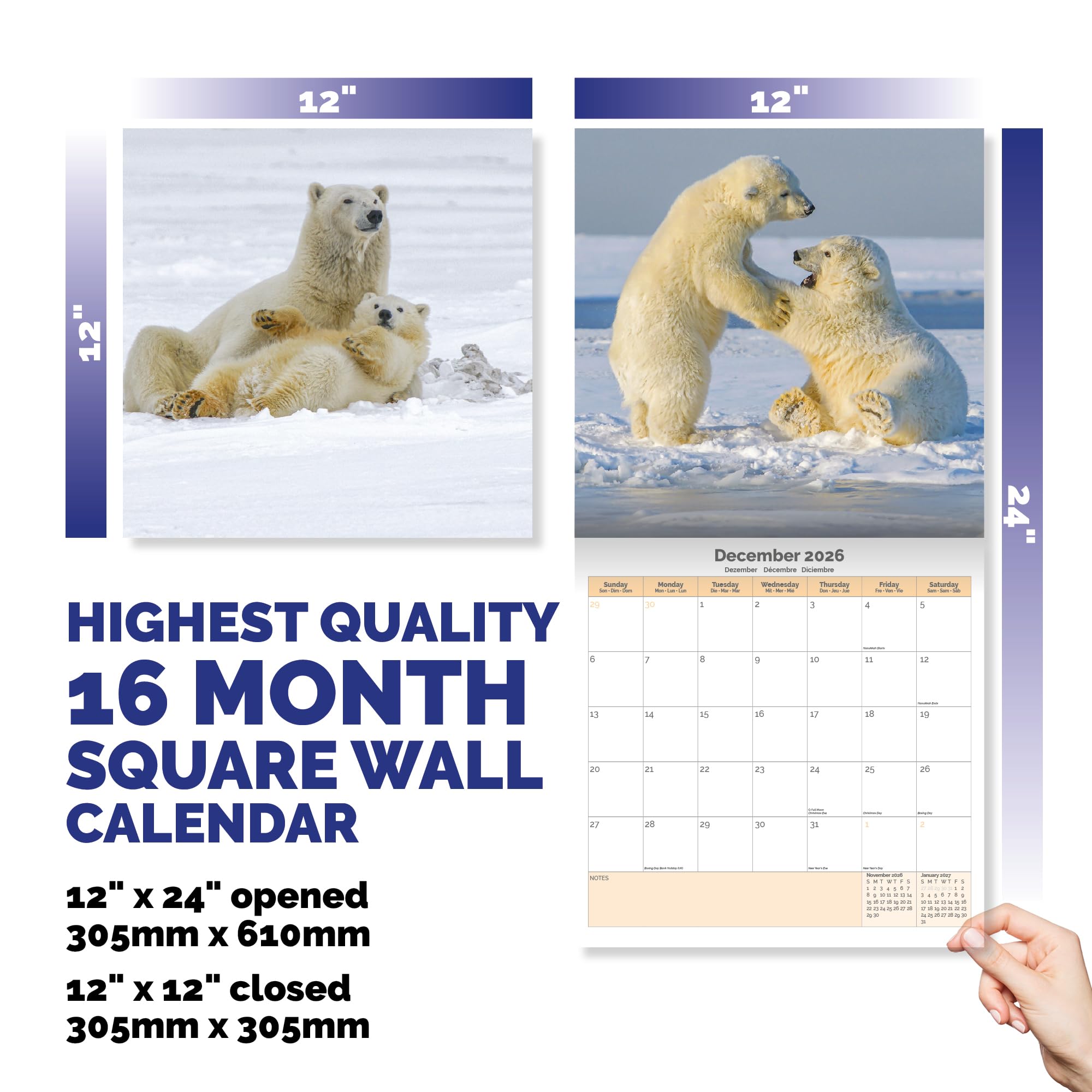 Polar Bears Calendar 2026