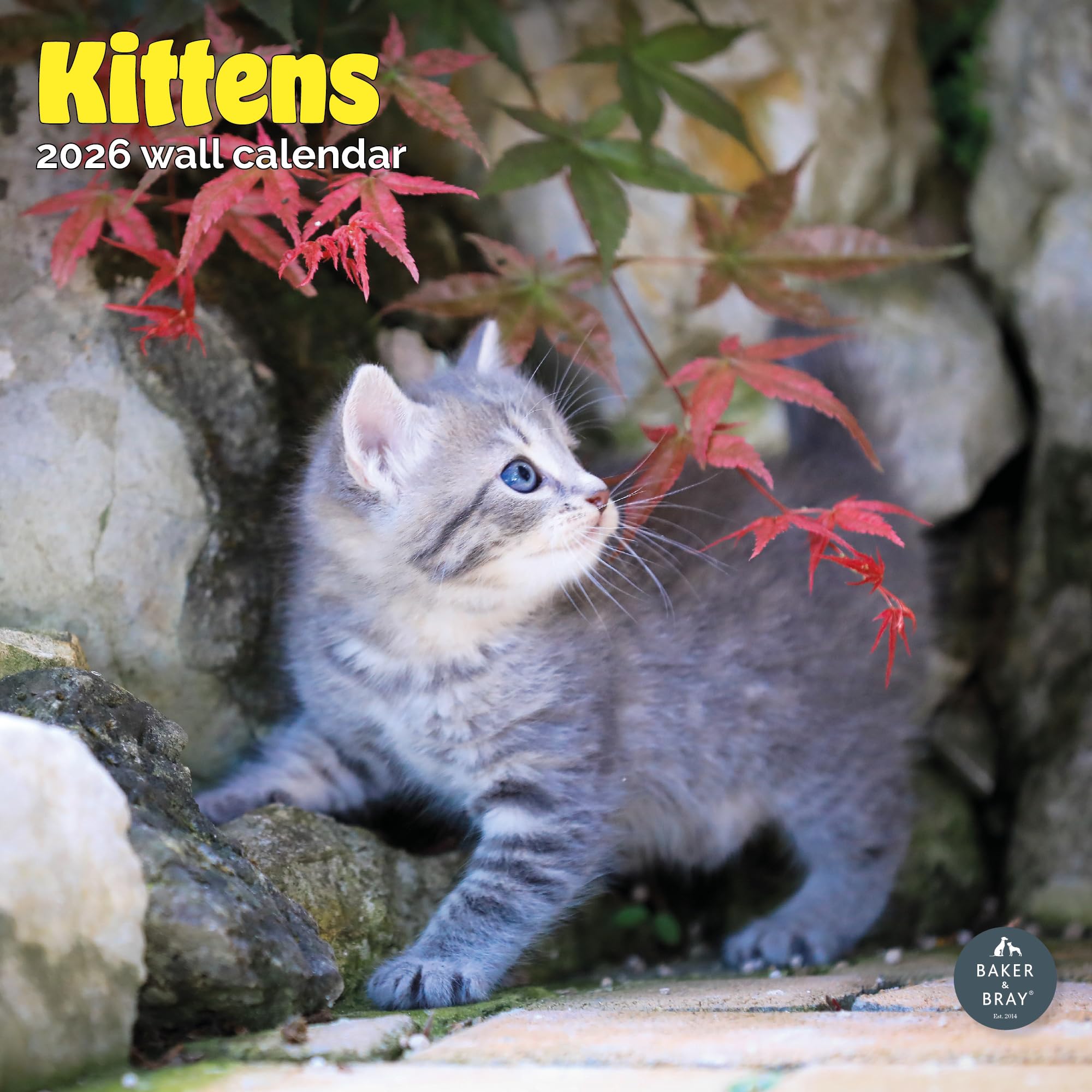 Kittens Calendar 2026