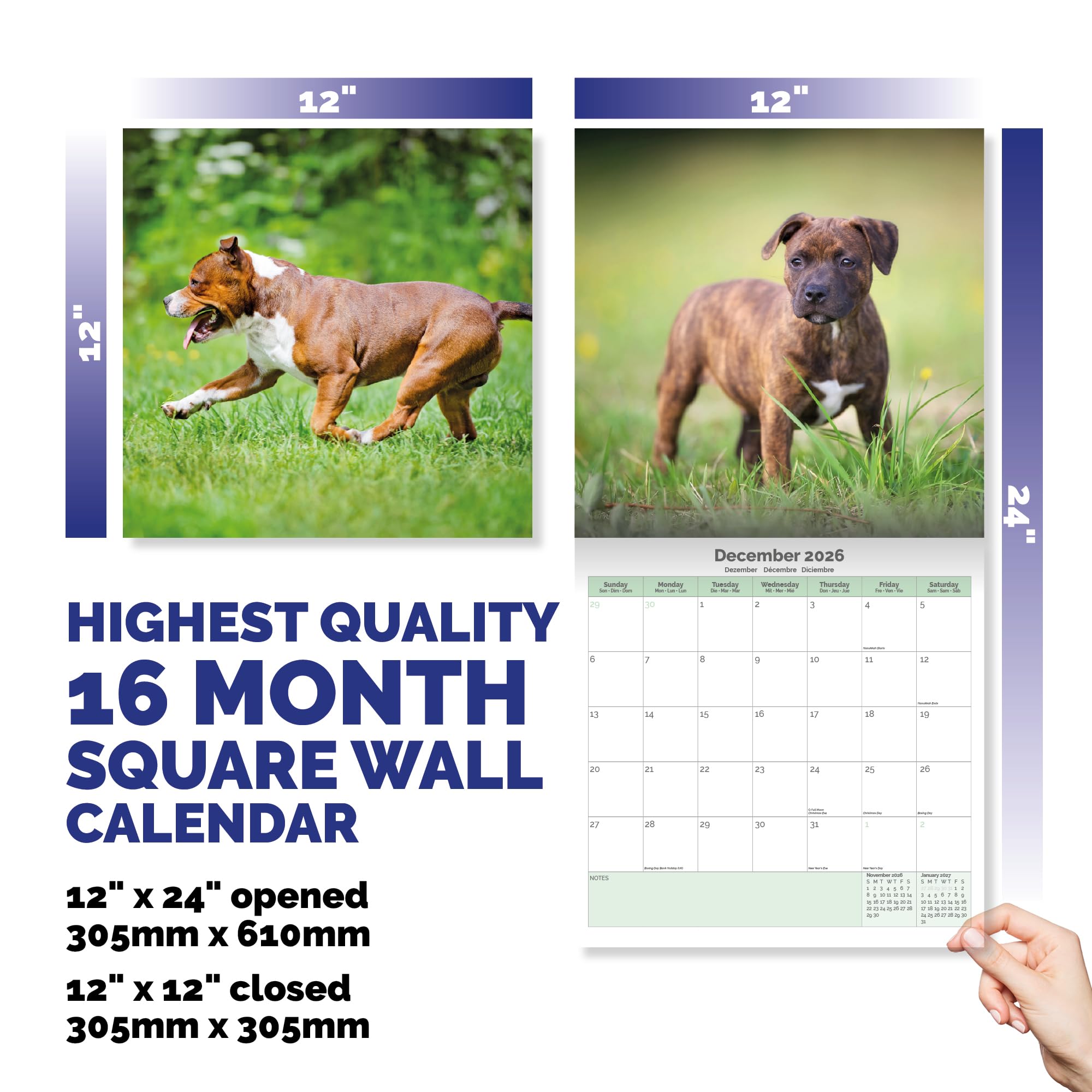 Staffordshire Bull Terrier Calendar 2026