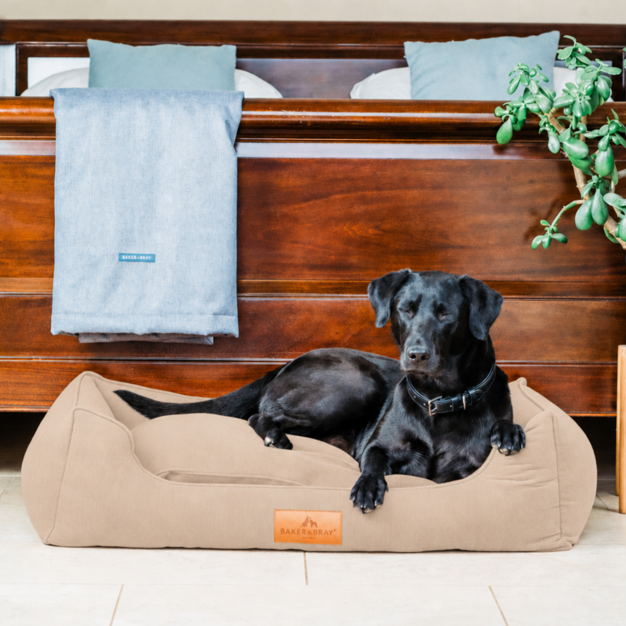 The Ultimate - Eco Friendly Orthopaedic Luxury Dog Bed, Latte Beige