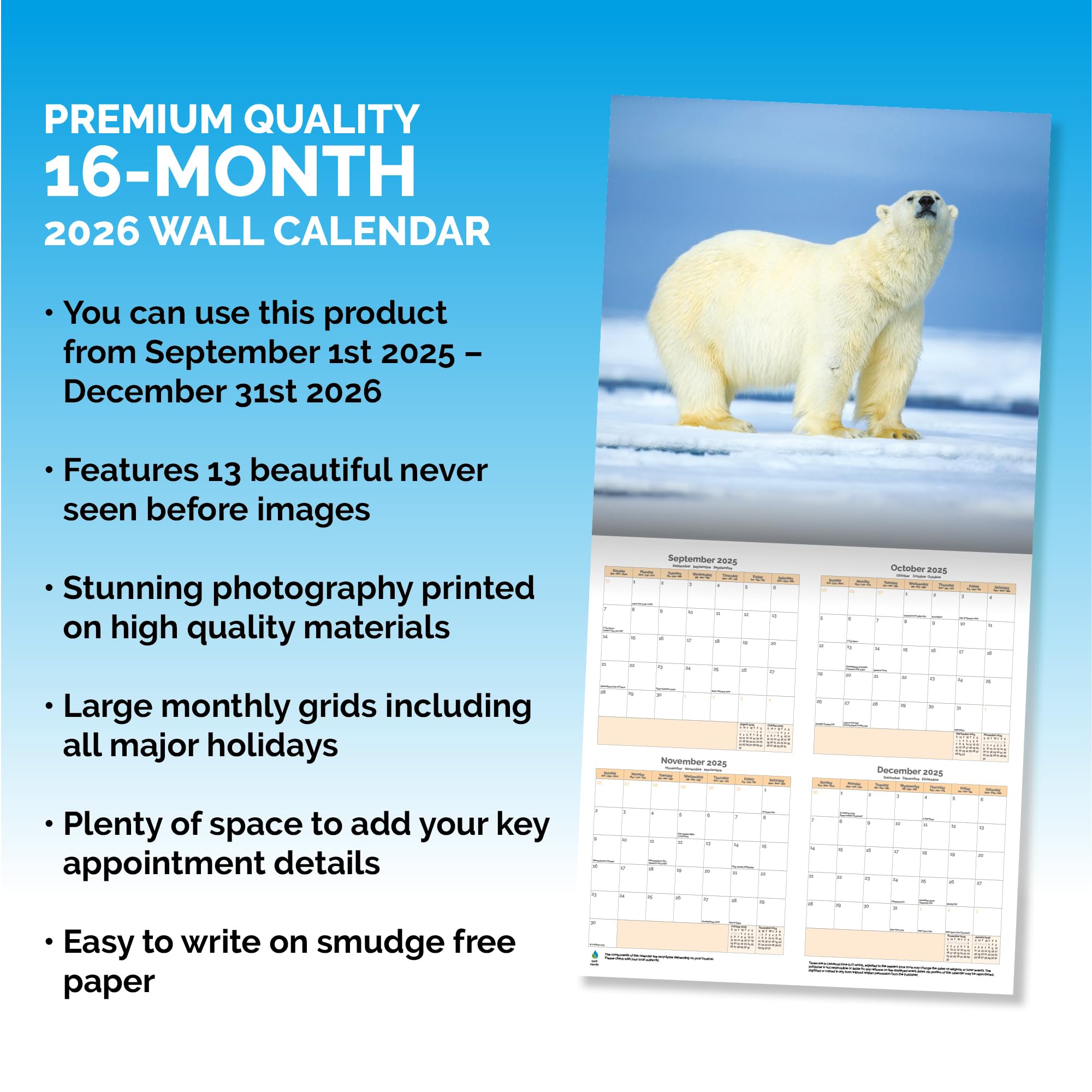 Polar Bears Calendar 2026