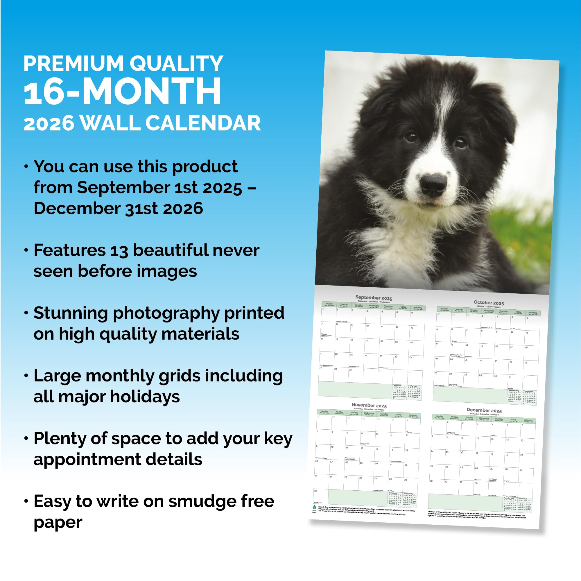 Border Collie Puppies Calendar 2026