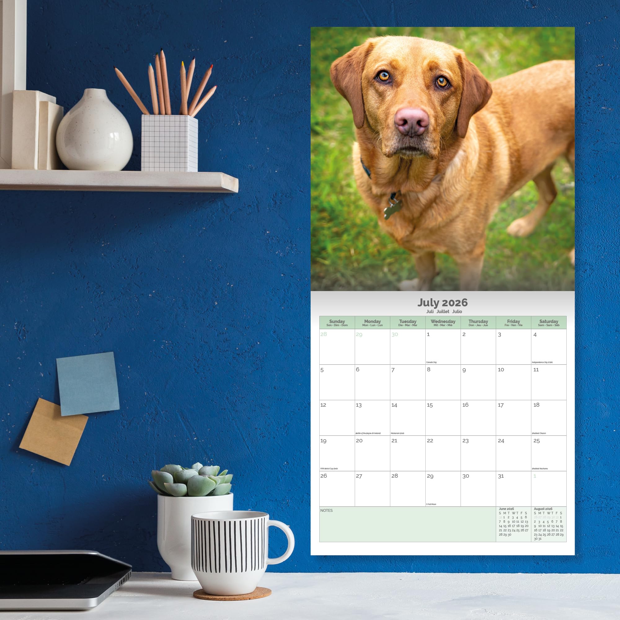 Fox Red Labrador Calendar 2026