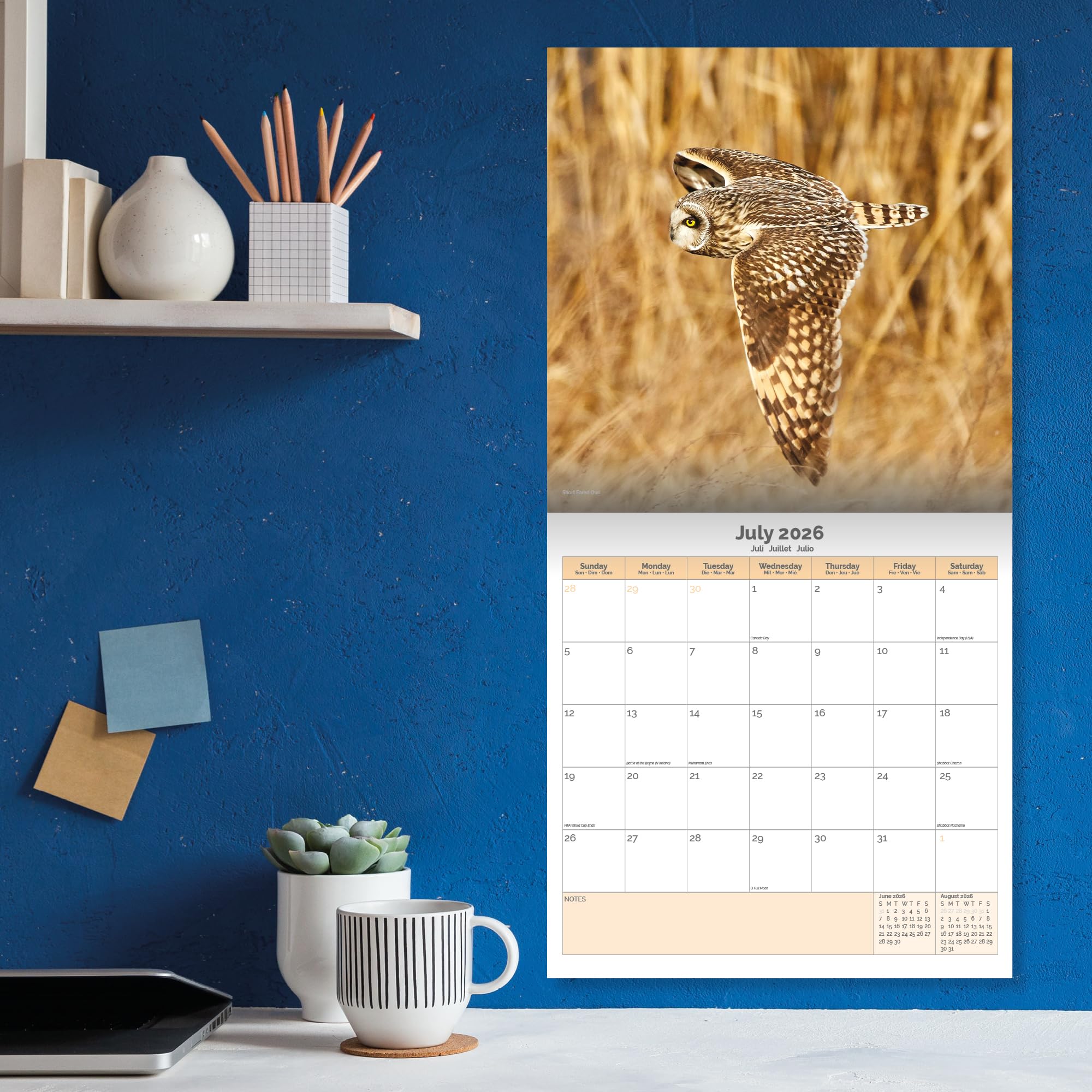 Owls Calendar 2026