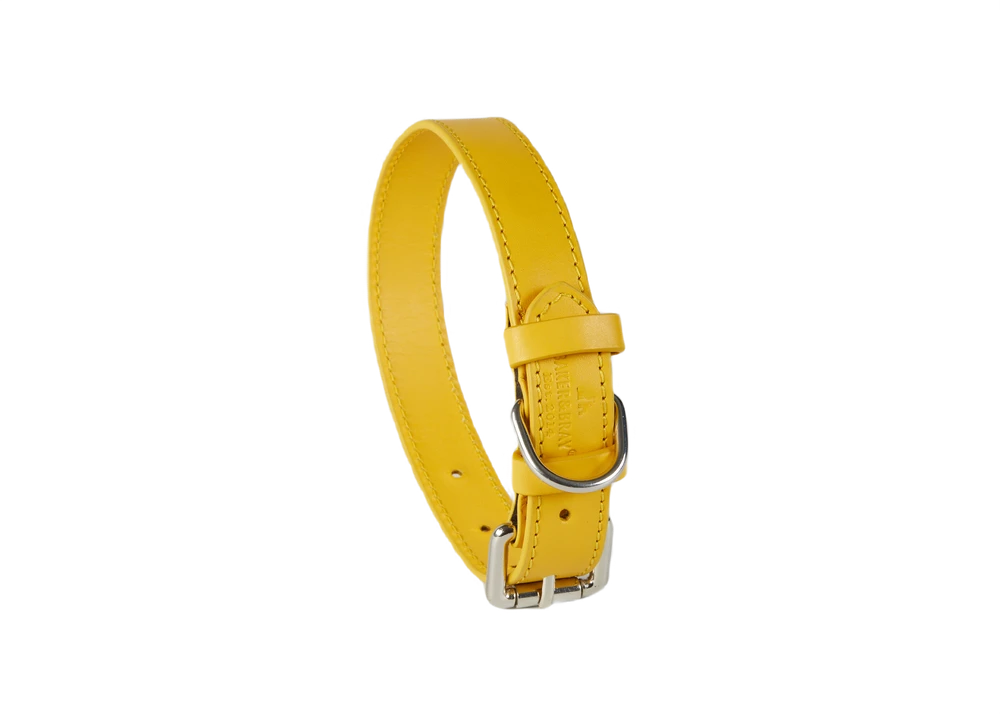 The Baker & Bray leather dog collar in lemon