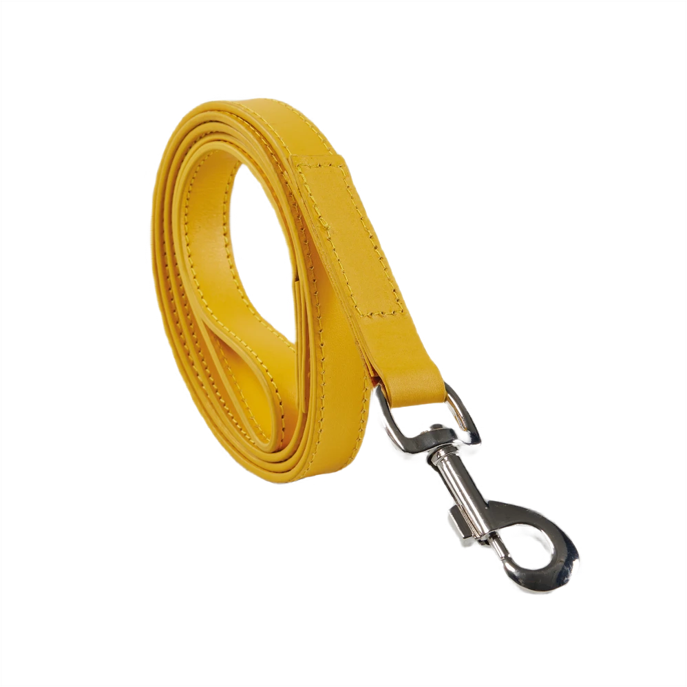 The Baker & Bray leather dog lead in lemon