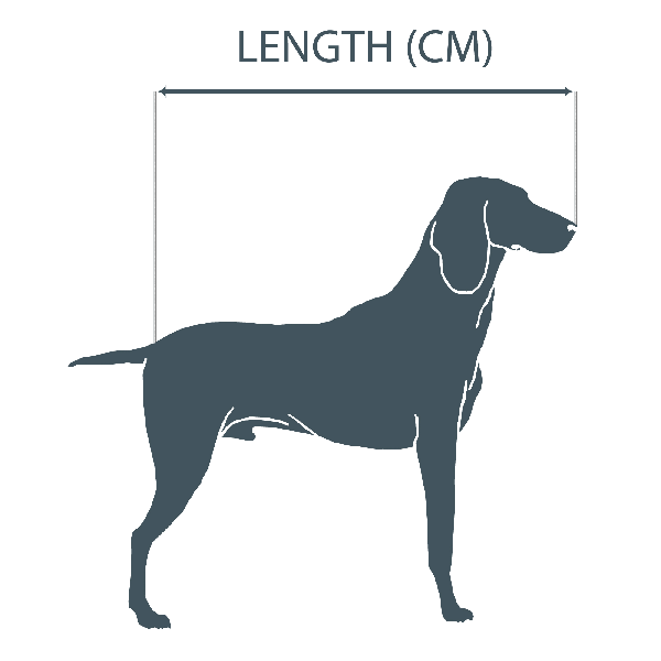 A dog seen from the side, with the measurement running from the nose to the base of the tail